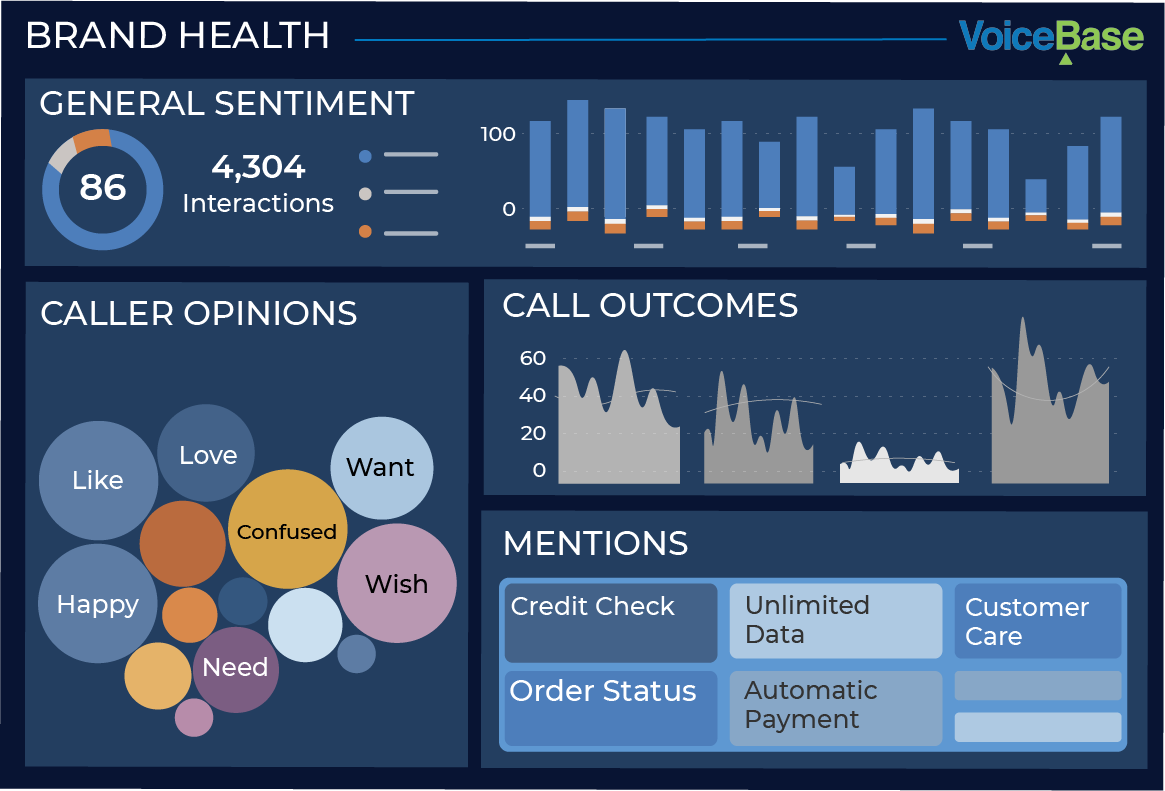 voice of the customer viz